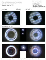 Sterntest und Ronchi fr ein Celestron C9.25